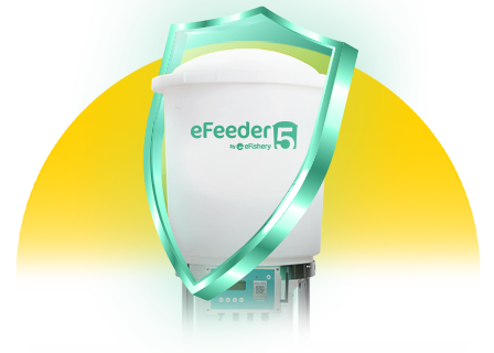 EFeeder Automatic Feeding Service