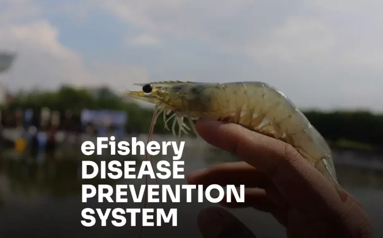 efishery disease prevention system
