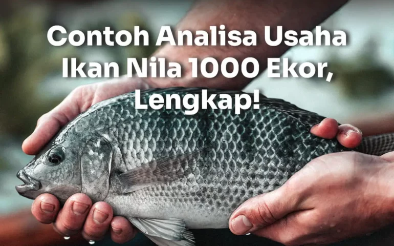 analisa usaha ikan nila 1000 ekor