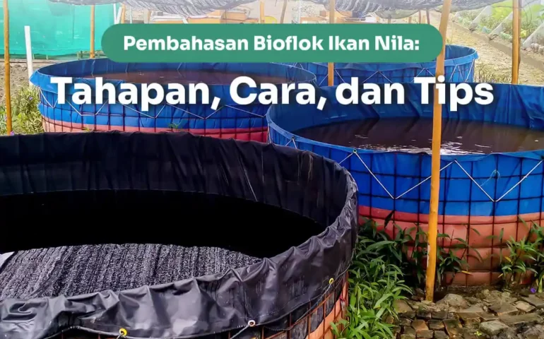 bioflok ikan nila