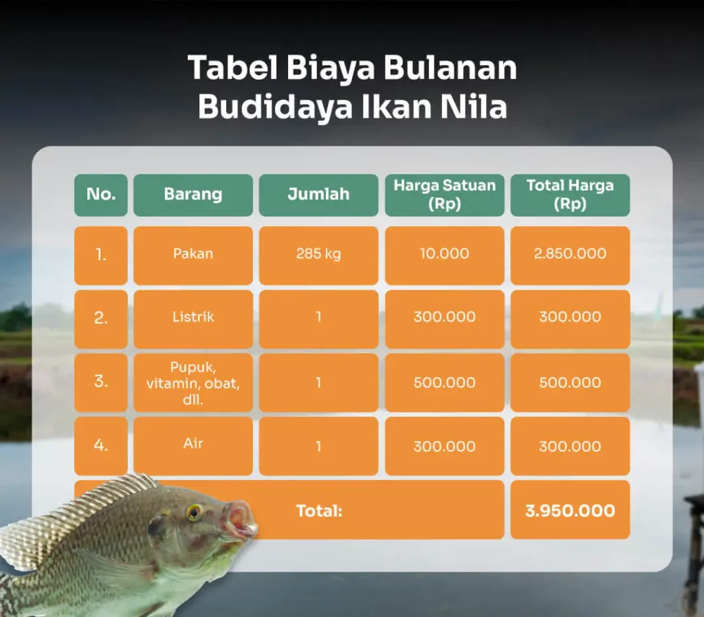 tabel biaya bulanan budidaya ikan nila
