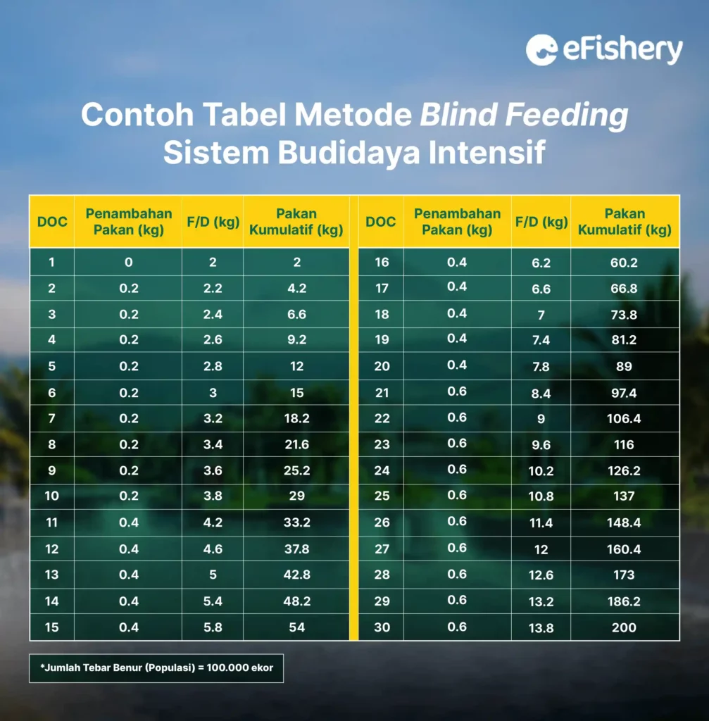contoh tabel metode blind feeding budidaya udang sistem intensif